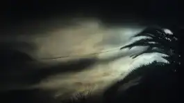 Sunrise Reflected